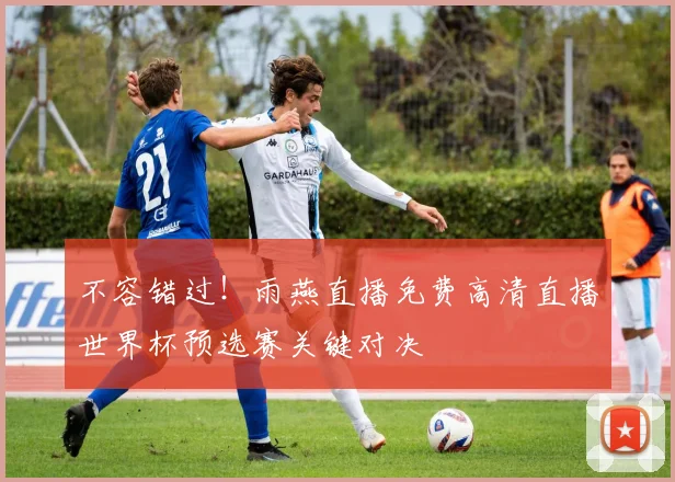 不容错过！雨燕直播免费高清直播世界杯预选赛关键对决