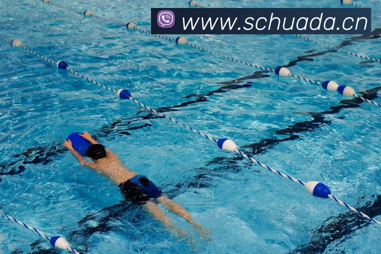 滚球官网app发展历程